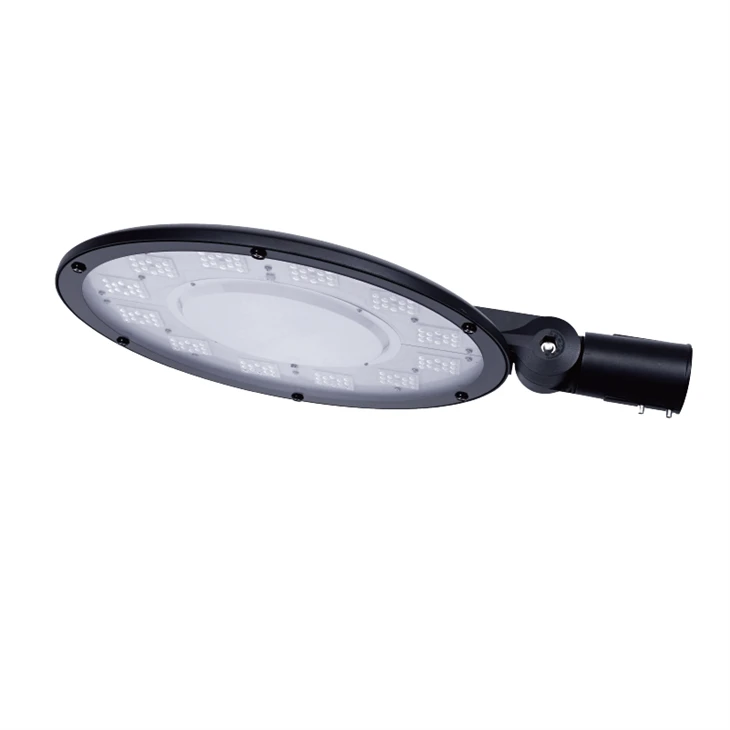 Đèn led sân vườn 100W