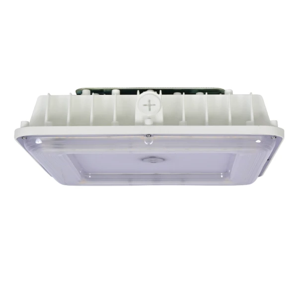 Đèn Led Can
